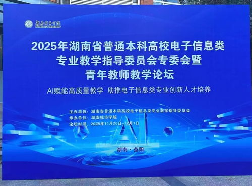 聚智同行，共促成長 小眼睛科技受邀亮相2025湖南省電子信息學(xué)術(shù)年會(huì)